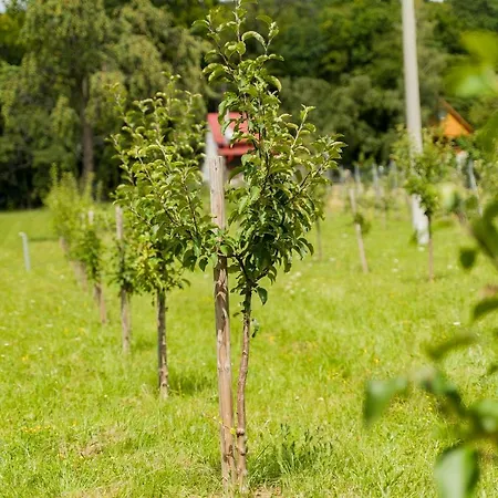 Prázdninový dům Hlboke